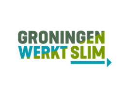 Logo - Groningen werkt slim